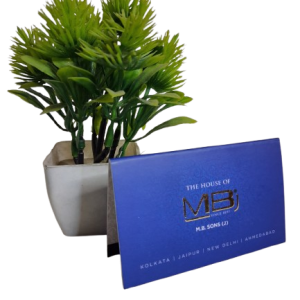 500 gsm foldable visiting card